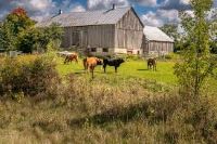 fall farms in ontario