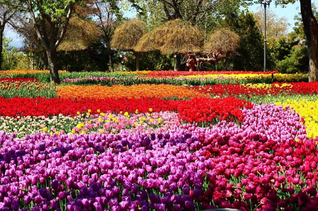 canadian tulip festival