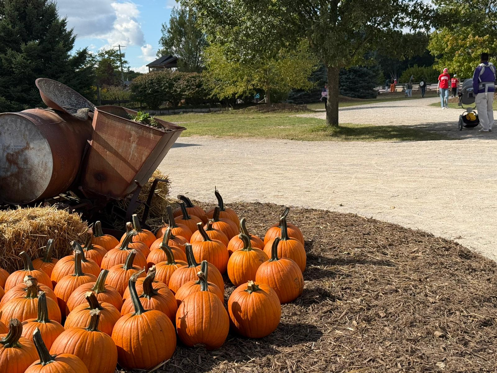 snyders family farm