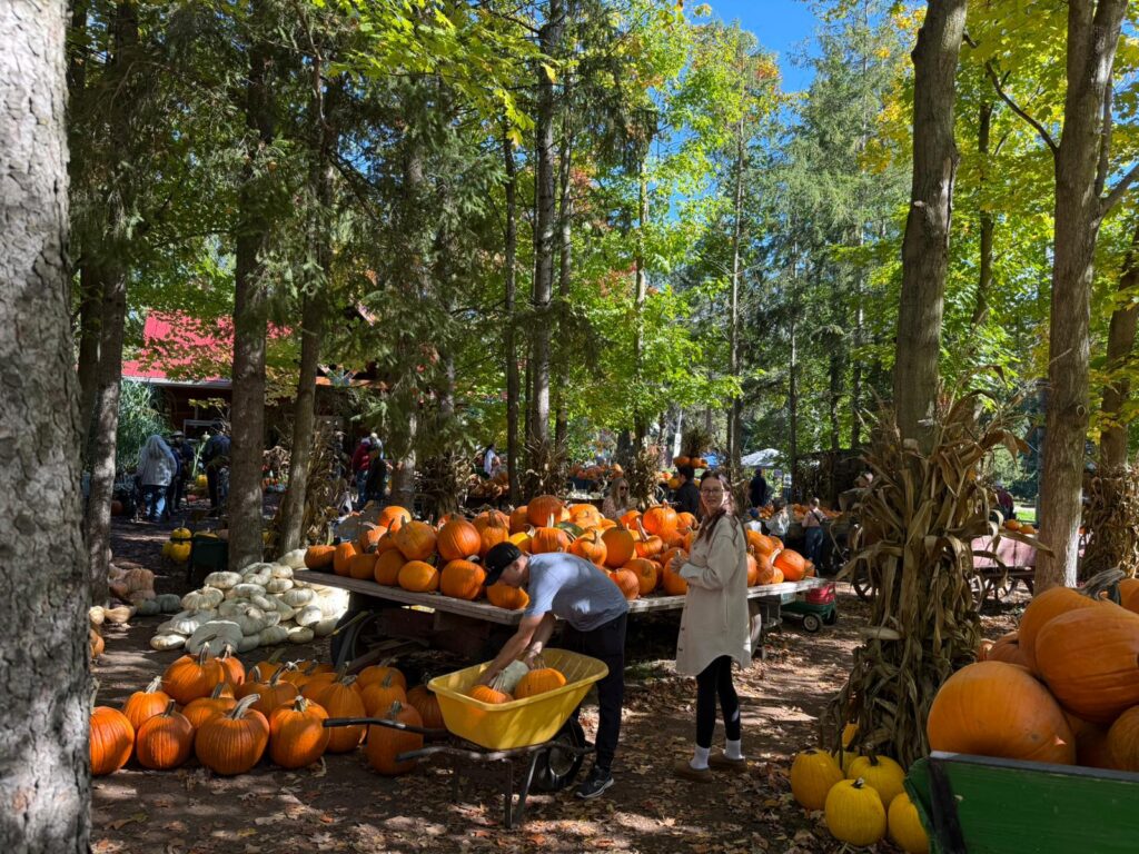 fall activities in Waterloo