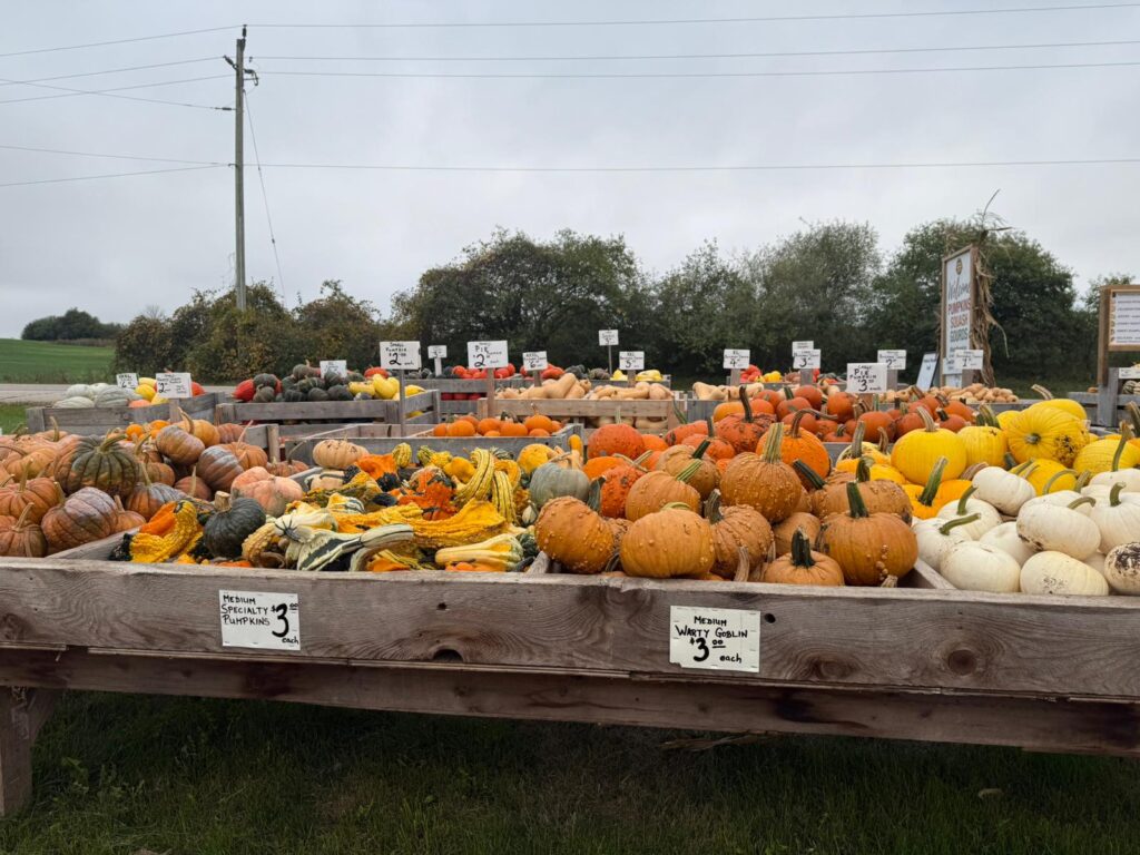 fall road trips Ontario