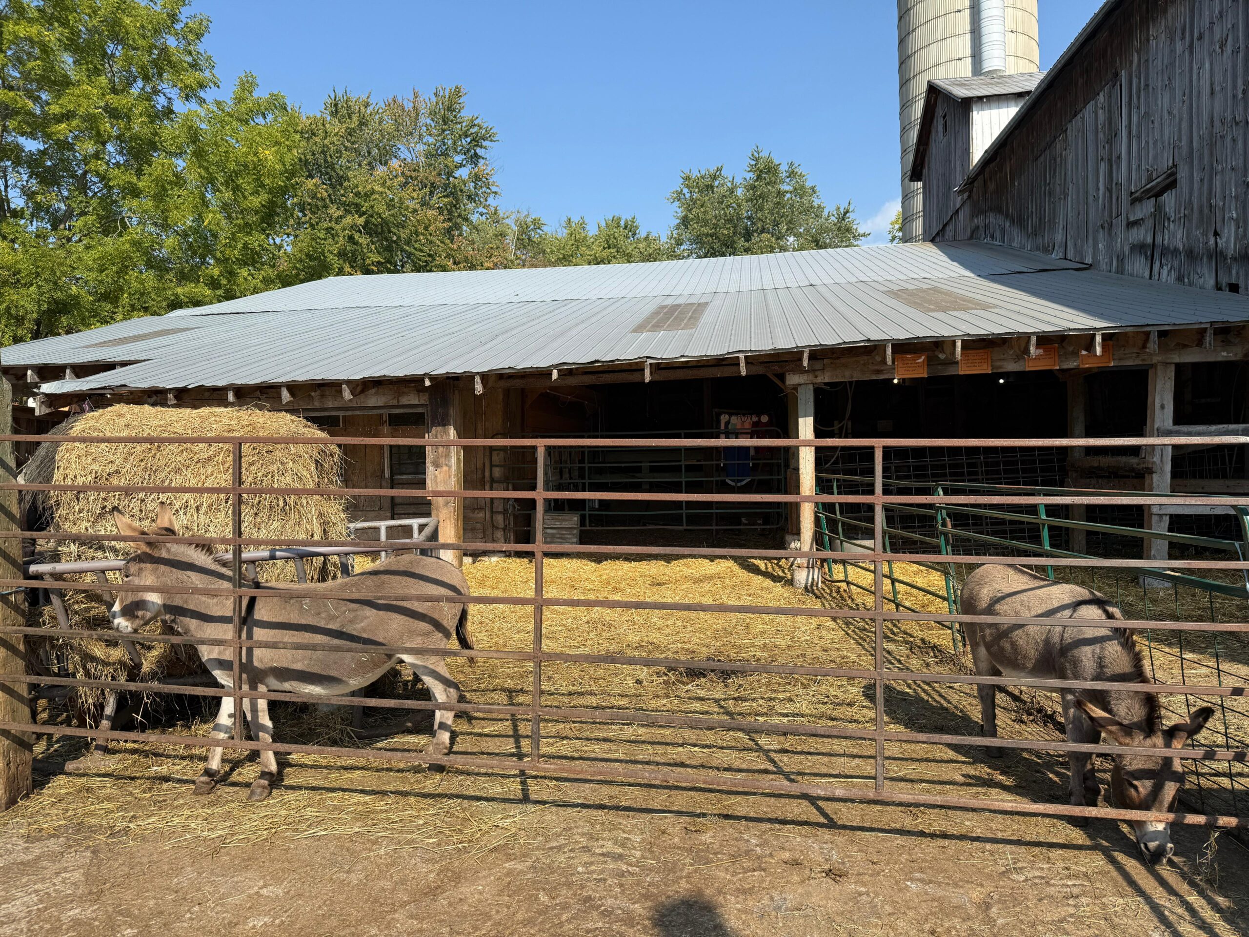 fall road trips Ontario