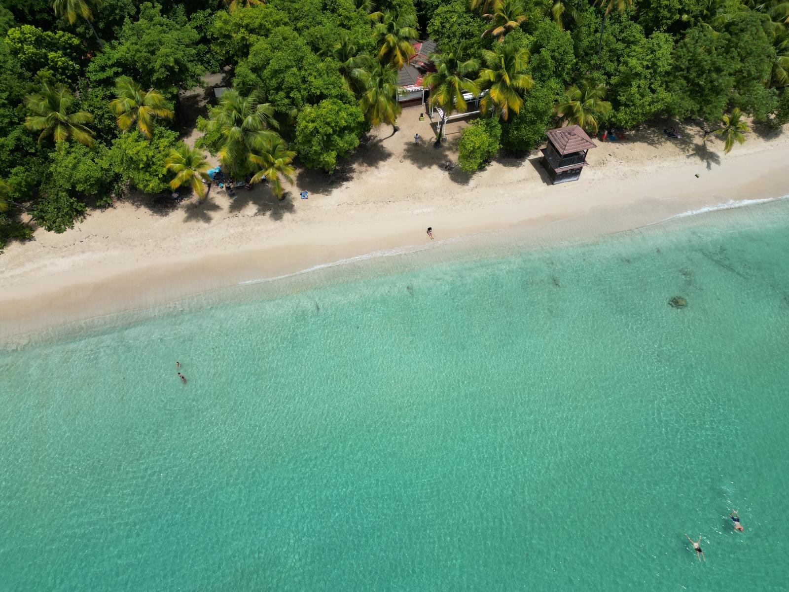 Things to Do in Martinique