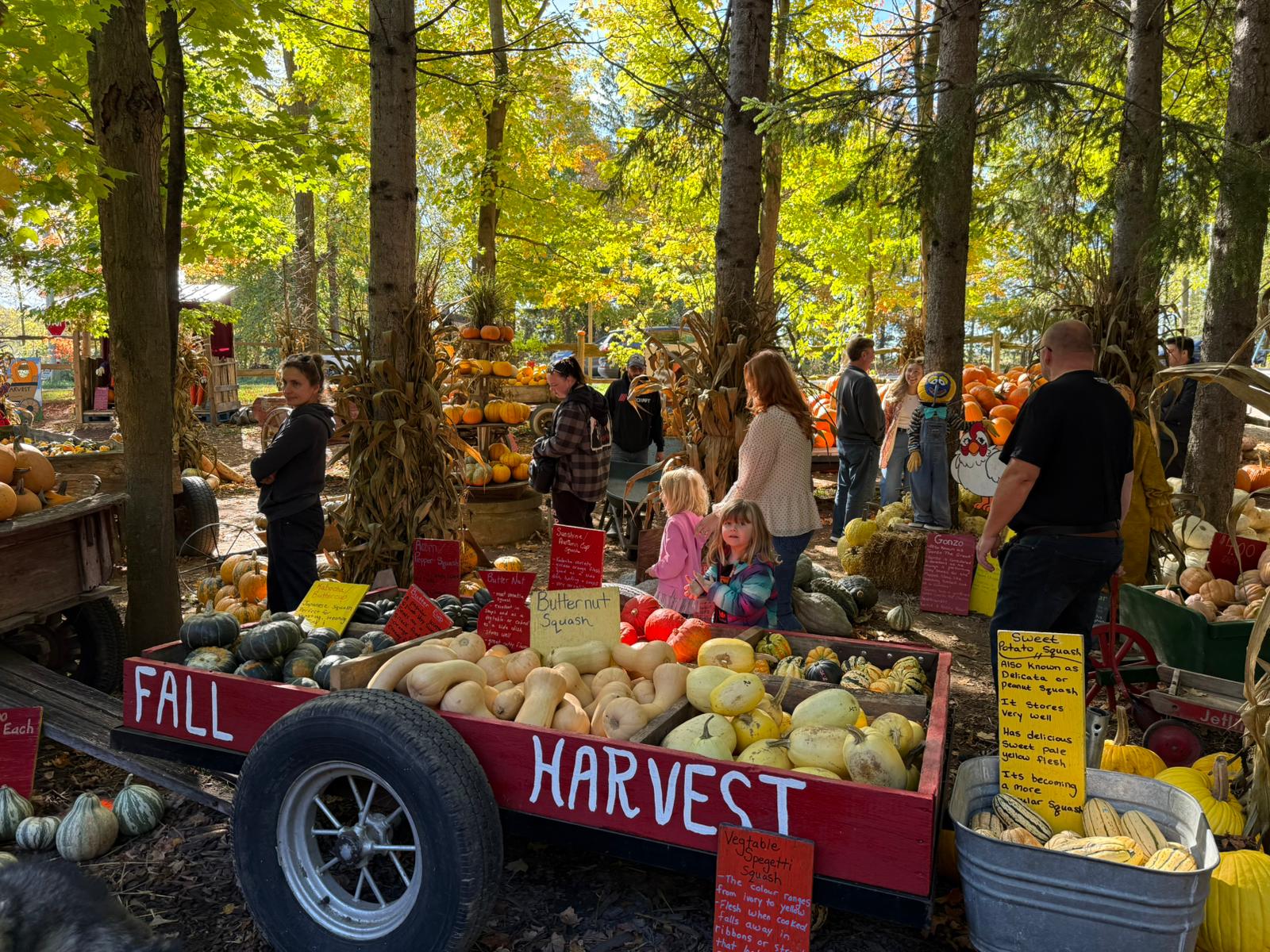 fall activities in Waterloo