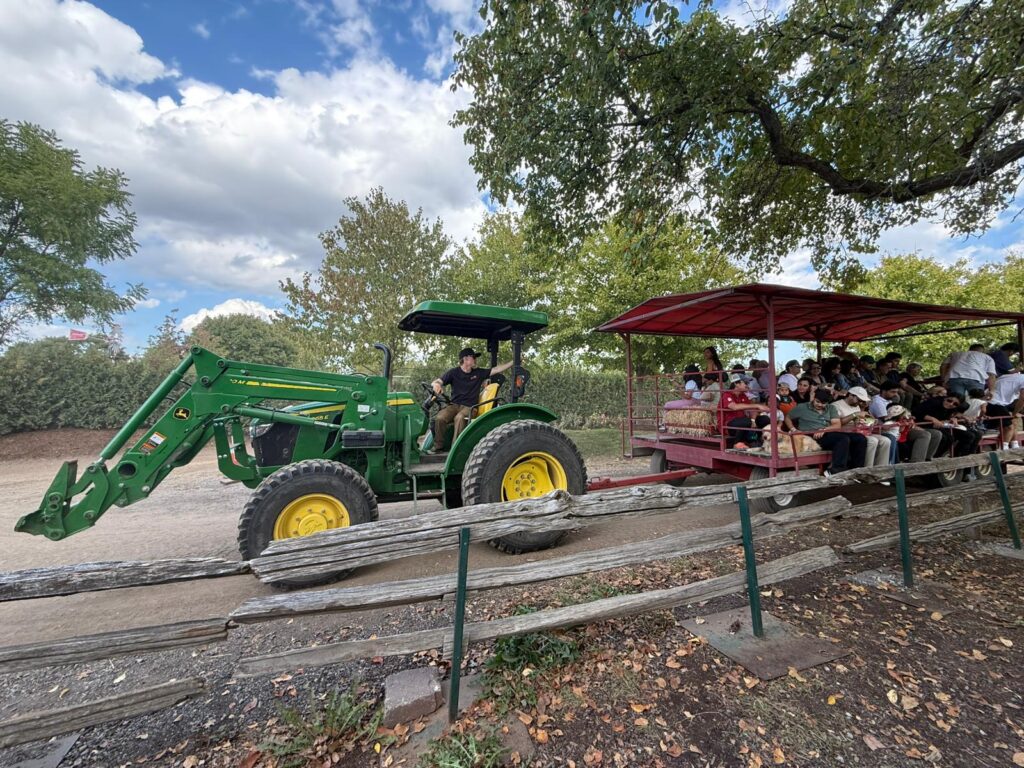Apple picking near Toronto