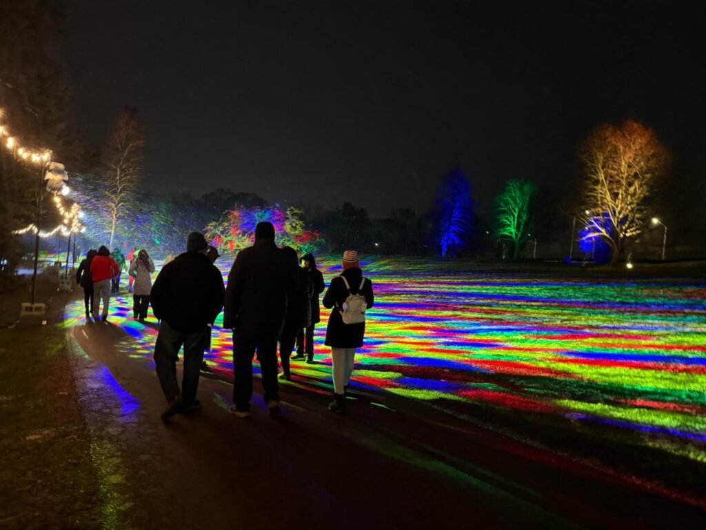 Winter wonders
