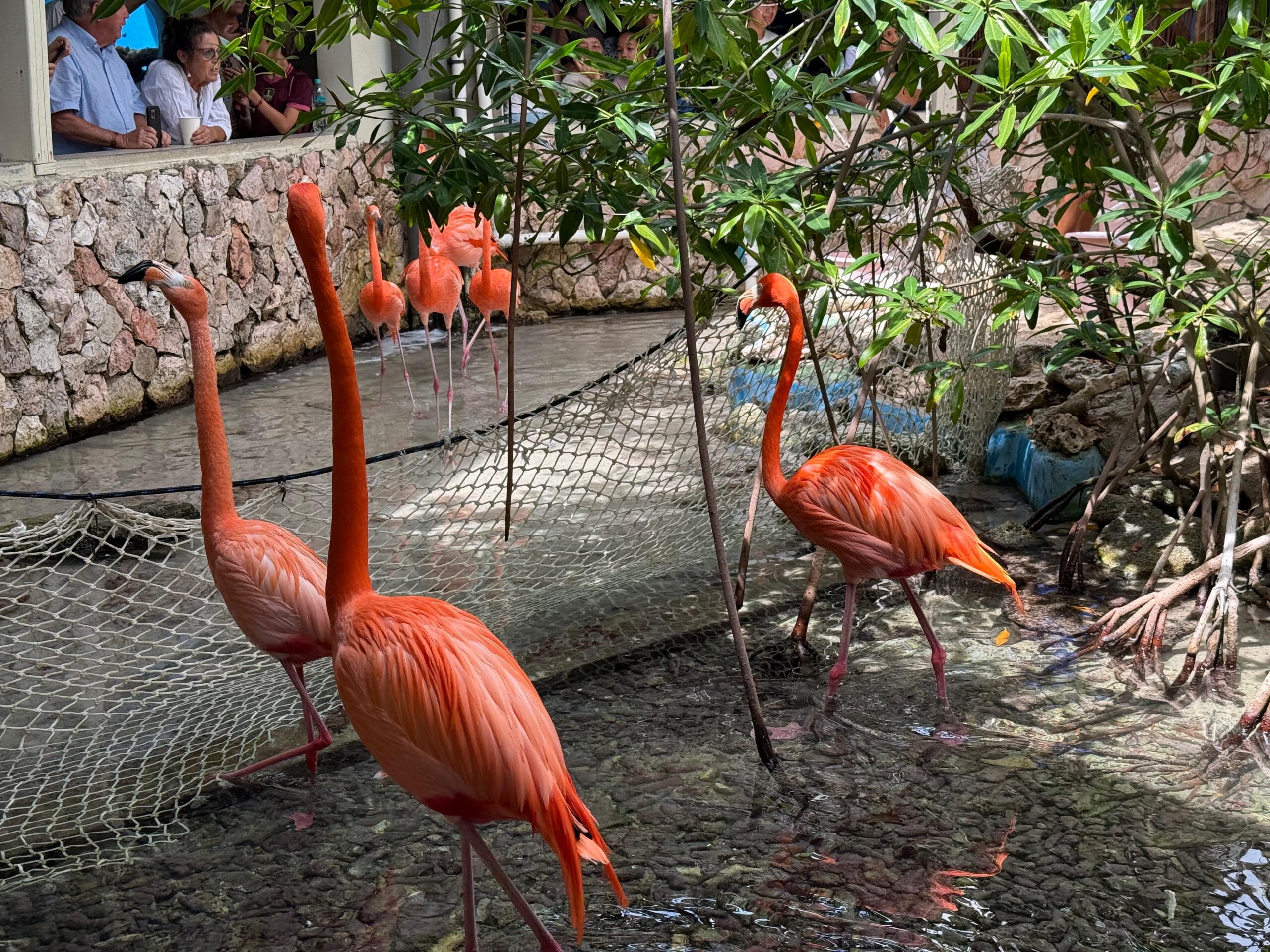 Curacao Sea Aquarium
