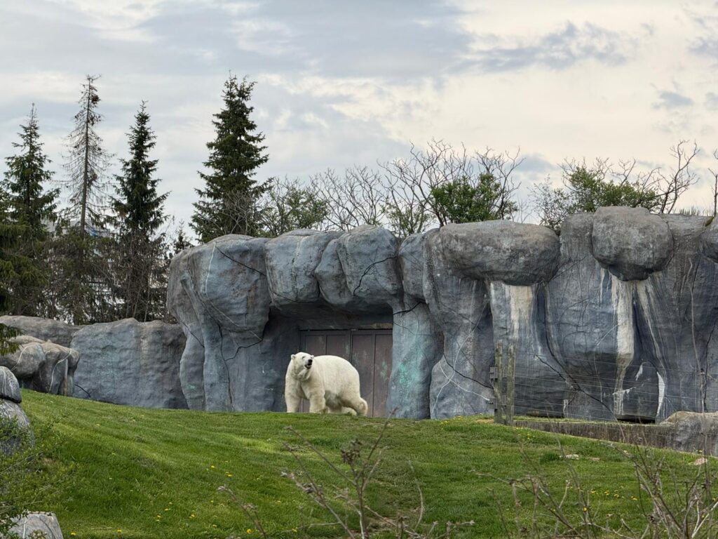 toronto family things to do