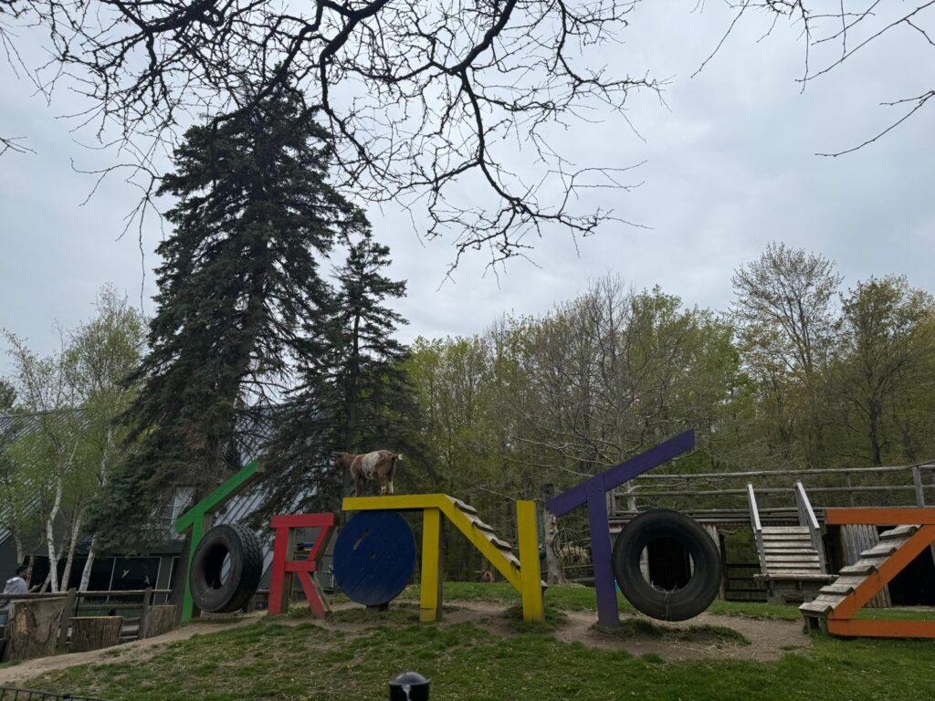 toronto family things to do 