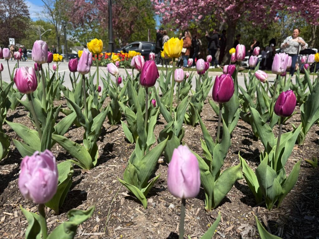 weekend trips from toronto 